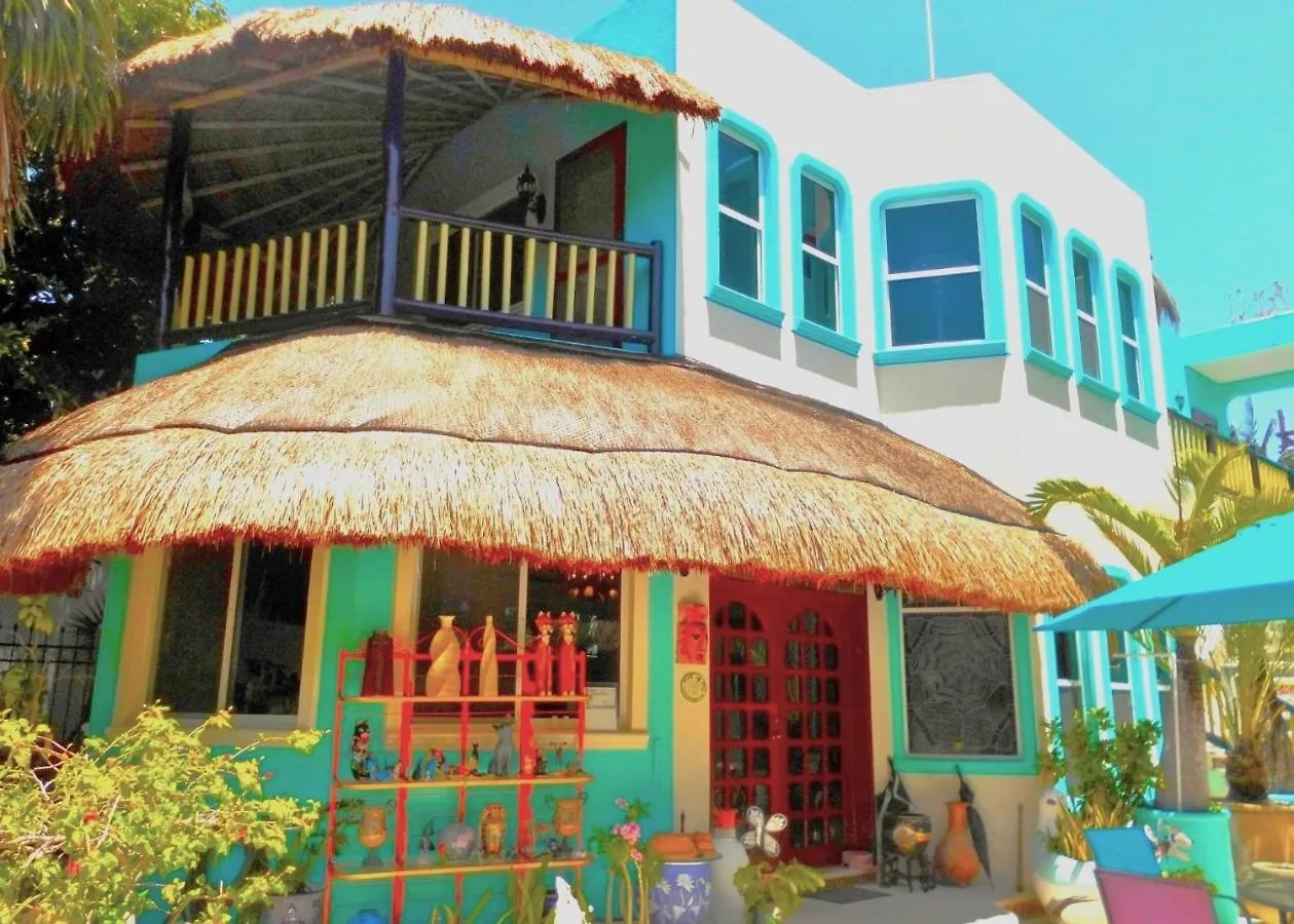 Casa Gatos Aparthotel Akumal 2*,  México