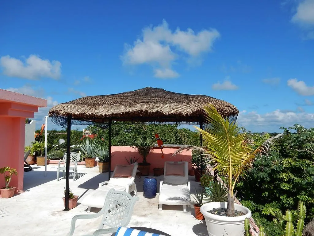 Casa Gatos Aparthotel Akumal