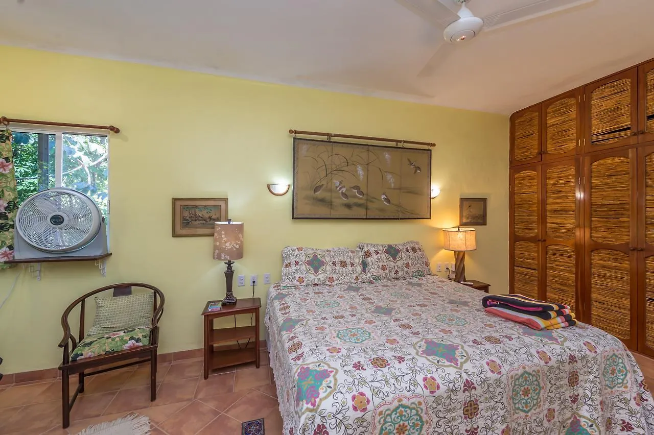 **  Casa Gatos Aparthotel Akumal México