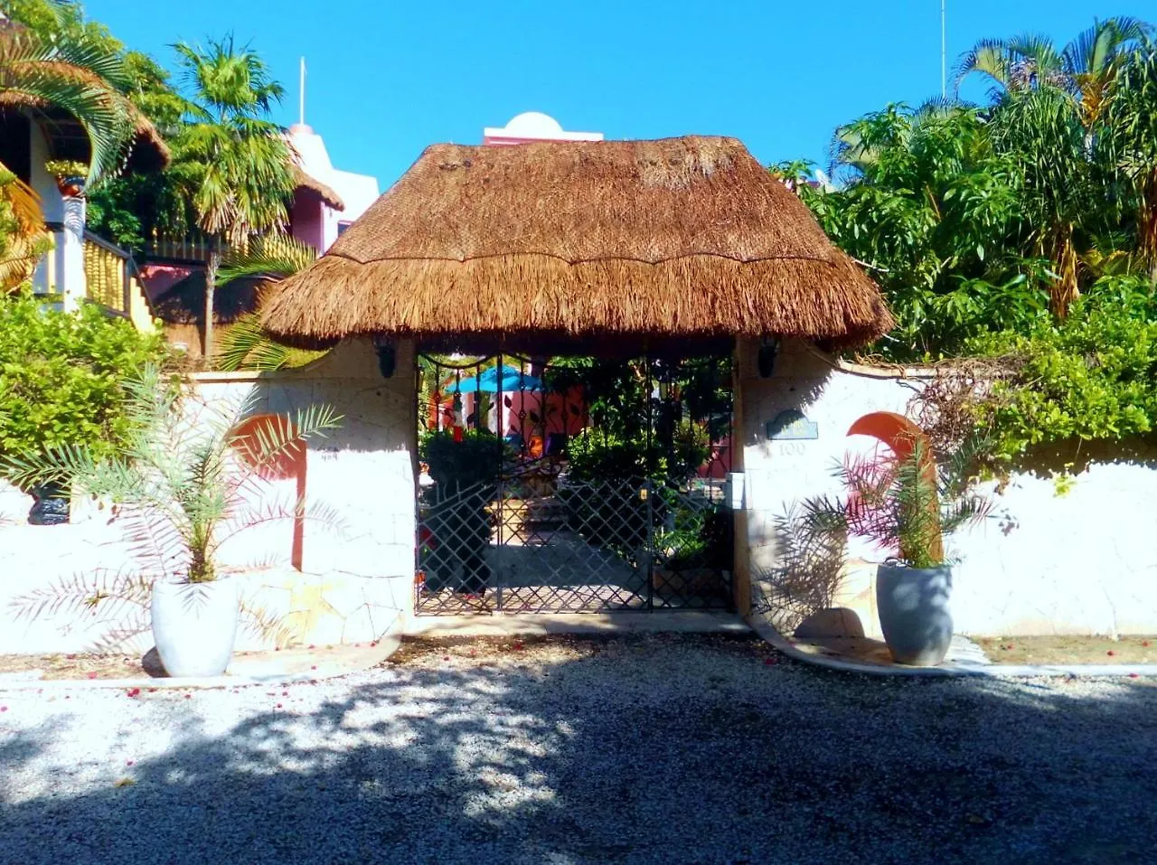 Casa Gatos Aparthotel Akumal
