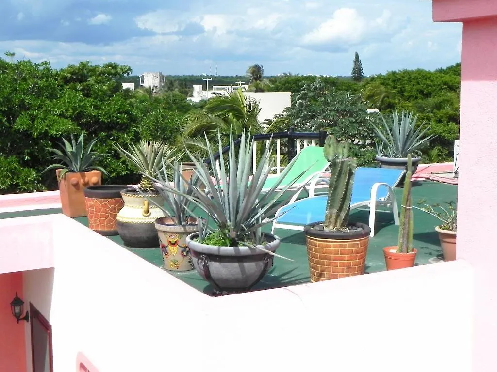 Aparthotel Casa Gatos Akumal