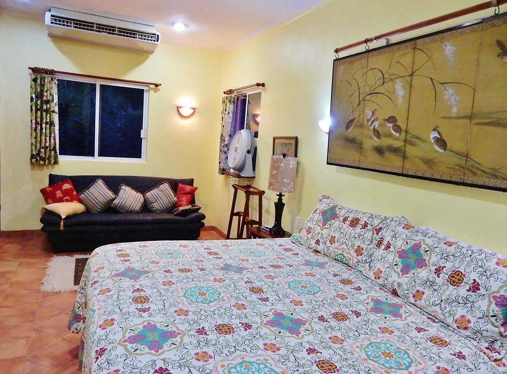 Casa Gatos Aparthotel Akumal
