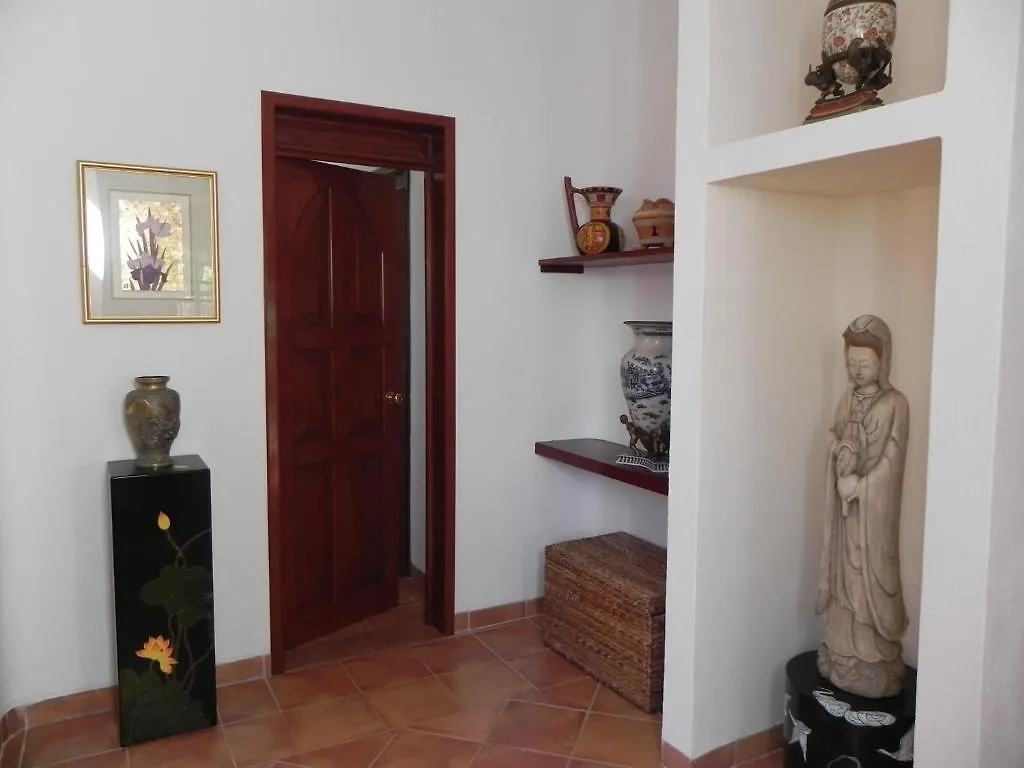 **  Casa Gatos Aparthotel Akumal Mexico